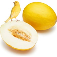 Zengarden Sarı Kavun Tohumu Geleneksel Canary Melon Seeds Heirloom