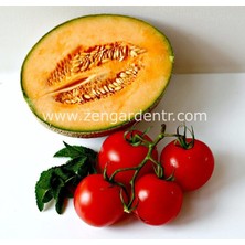 Zengarden Şekerküpü Kavun Tohumu Geleneksel Honey Rock Melon Seeds