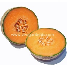 Zengarden Şekerküpü Kavun Tohumu Geleneksel Honey Rock Melon Seeds