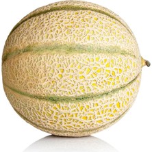 Zengarden Minyatür Minesota Kavun Tohumu Geleneksel Minnesota Midget Melon Heirloom Seeds