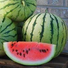 Zengarden Erkenci Karpuz Tohumu Geleneksel Watermelon Dixie Queen