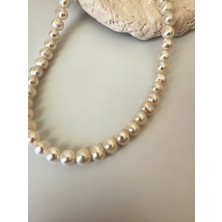 Ladies&Gentlemen Pirinç Üzeri Altın Kaplama 7-8 mm Tatlı Su Incisi Choker Kolye