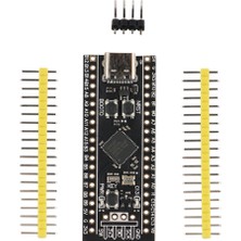 Decisive 2 Adet STM32F411 Geliştirme Kartı, STM32F411CEU6 STM32F4 Öğrenme Kartı, Programlama Desteği (Yurt Dışından)