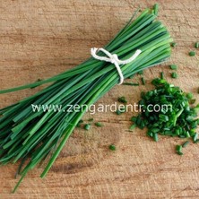 Zengarden Frenk Soğanı Tohumu Soğanotu Orta Yapraklı Onion Chives