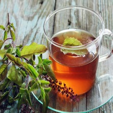 Zengarden Şifalı Tulsi Kırmızı Kutsal Tayvan Fesleğeni Tohumu