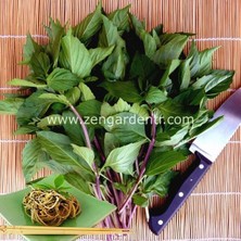 Zengarden Tayvan Fesleğen Tohumu Thai Basil