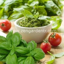 Zengarden Geleneksel Ceneviz Fesleğeni Tohumu Sweet Genovese Basil