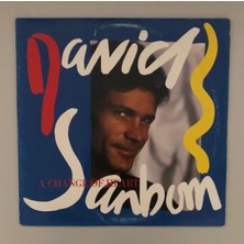 David Sanborn A Change Of Heart Lp Plak (Orjinal Dönem 1987 Avrupa Baskı)