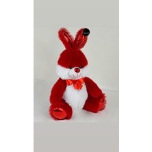 Top Rock Store Sevimli Tavşan Peluş Oyuncak Uyku Arkadaşı Büyük Boy 55 cm