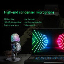 Sunshinee Gürültü Önleme ile USB Kondenser Mikrofon Pc Bilgisayar Dizüstü Video Şarkı Kayıt Için USB Oyun Mikrofonu (Yurt Dışından)