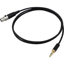 Sunshinee 3.5mm Jack 3pin Mini Xlr Dişi BM800 Pc Kulaklık Mikser Mikrofon Stereo Kamera Amplifikatör 0.5 M (Yurt Dışından)