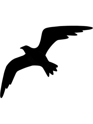 AfroditGifts Martı 15X12 cm