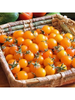 Zengarden Golden Nugget Domates Tohumu Altın Sarı Çeri Oturak Tipi