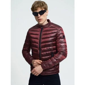 Regular Fit Erkek Mont