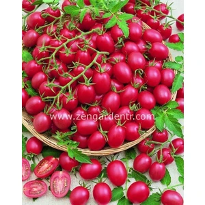 Pembe Üzüm Domates Tohumu Pink Grape Geleneksel