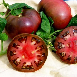 Siyah Domates Brandywine Tohumu Geleneksel Heirloom Brandywine Black Tomato Seeds