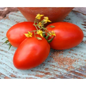 Roma Domates Tohumu Geleneksel Rome Tomato Heirloom Seeds
