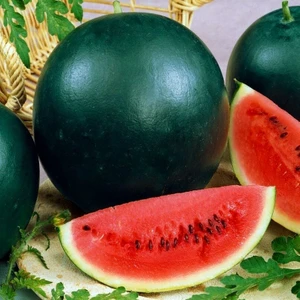 Sugar Baby Karpuz Tohumu Citrullus Lanatus Var