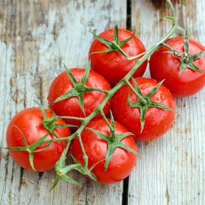 Iri Boy Çeri Domates Tohumu Big Red Cherry Kiraz Tipi Heirloom