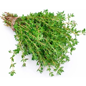 Kekik Tohumu Thymus Vulgaris