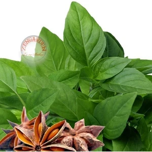 Acem Fesleğeni Tohumu Anoson Aromalı Anise Basil