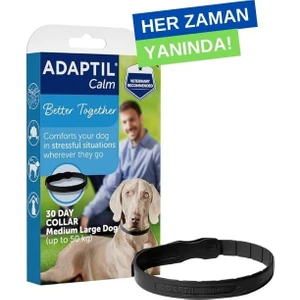 Calm Tasma - Büyük Boy