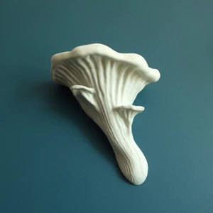 KemX3D Duvar Rafı Dekorasyon - Istiridye Mantarı