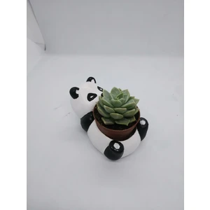 Çobanlar Kadın Kooperatifi Çobanlar Hayvan Figürlü (Panda) Saksı