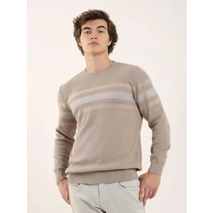 Bej Erkek Slim Fit Çizgili Bisiklet Yaka Triko