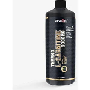Thermo L-Carnitine 33 Servis Karadut Aromalı