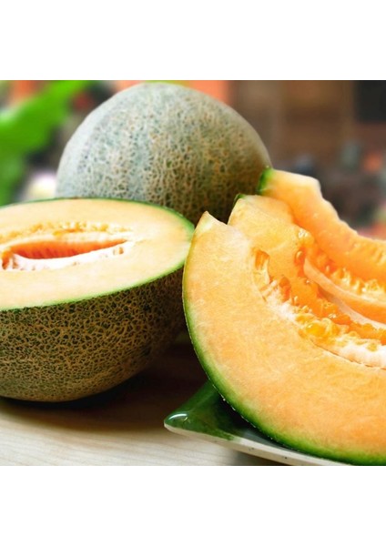 Atalık Delicious Kavun Tohumu modelleri