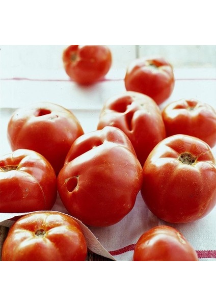 Geleneksel Bostan Domatesi Tohumu Homestead Tomato Heirloom fırsatları
