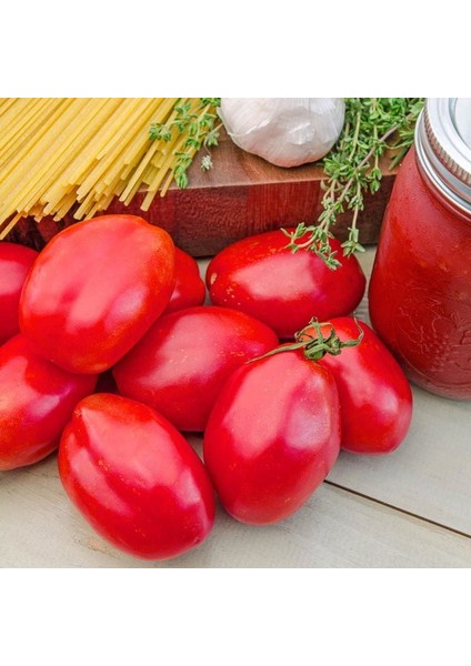 Salçalık Domates Tohumu Geleneksel Amish Paste Tomato