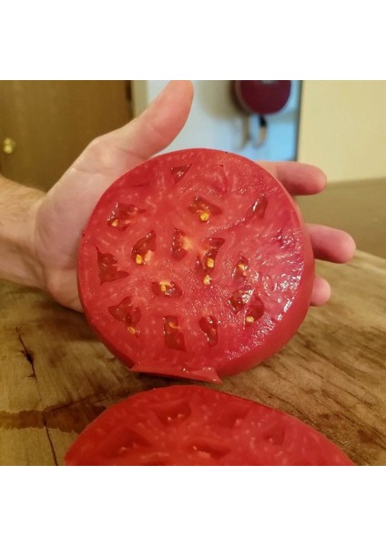Brandywine Domates Tohumu Atalık Heirloom Brandywine Red Tomato Seeds fırsatları