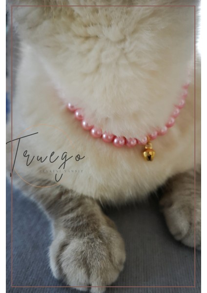 Renkli Inci Kedi Kolyesi Zilli Kedi Tasması - Somon