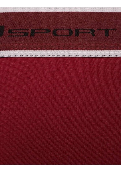 Elastan Spor Erkek Boxer 400 Bordo