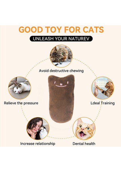 3 Adet Kedi Yüz Ifadesi Peluş Oyuncak-Kahve (Yurt Dışından)