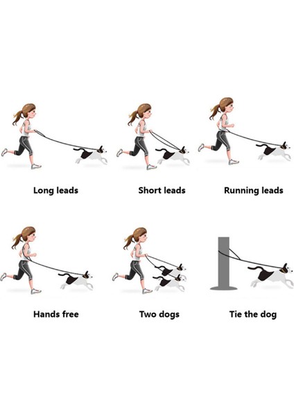 1 Adet Renkli Köpek Tasması-Ballı Turuncu-Çiftli (Yurt Dışından)