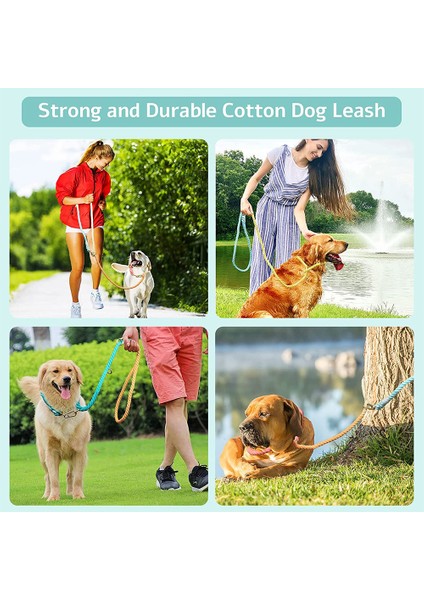 1 Adet Renkli Köpek Tasması-Ballı Turuncu-Çiftli (Yurt Dışından)