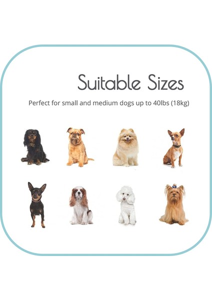 LED Geri Çekilebilir Köpek Tasması - Işıklı Köpek Tasması - Siyah (Yurt Dışından) indirimleri