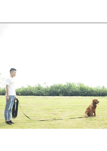 1pcs Pet Köpük Saplı Köpek ÇEKIŞ-15M*2CM Yeşil (Yurt Dışından) fiyatları