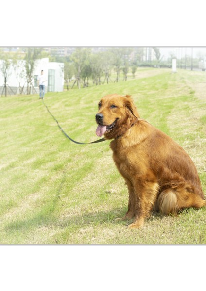 1pcs Pet Köpük Saplı Köpek ÇEKIŞ-15M*2CM Yeşil (Yurt Dışından) modelleri