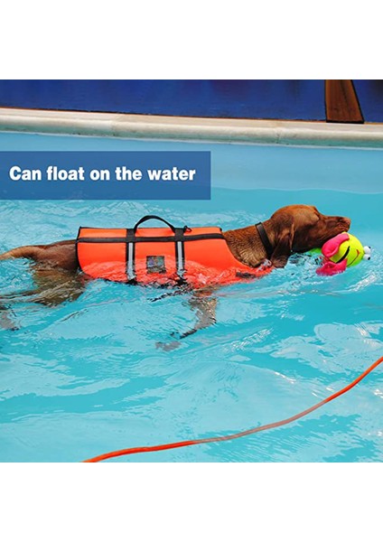 1 Adet Köpek Yürüyüş Tasması-8mm/kırmızı 10 Metre Içinde 25 Pound (Yurt Dışından)