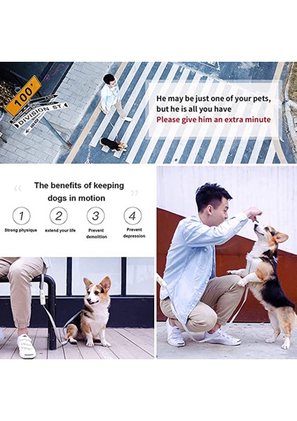 1 Adet Küçük ve Orta Boy Köpek Tasması-Mavi (Yurt Dışından)