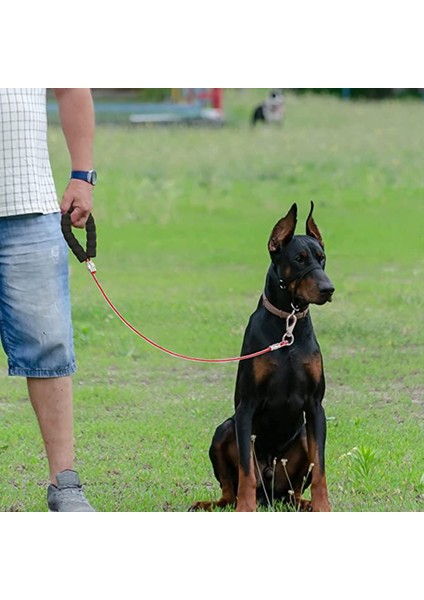 1 Adet Evcil Köpek Tasması-Bir Sürükle ve Bir Tasma (Yurt Dışından)
