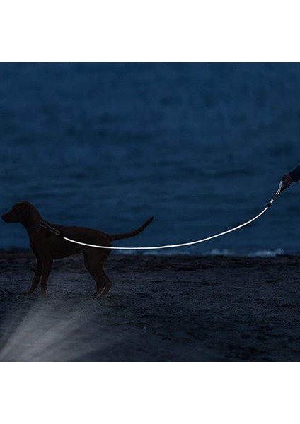 1 Adet Isırma Önleyici Köpek Tasması - Siyah Kauçuk Kaplı 2,5 Metre (Yurt Dışından)