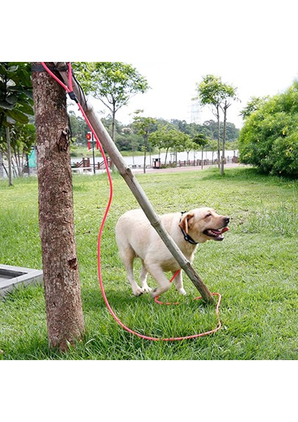 1pcs Pet Tasma-S: (5-10KG Için Uygundur) Kırmızı (Yurt Dışından) fiyatları