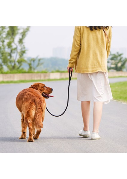 1pcs Pet Tasma-S: (5-10KG Için Uygundur) Kırmızı (Yurt Dışından) modelleri