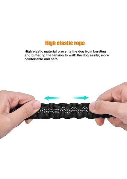 (Siyah) Köpek Tasması (Yurt Dışından)