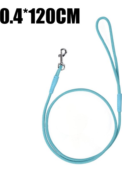 1 Adet Köpek Tasması-Mavi 120CM*4MM (Yurt Dışından)